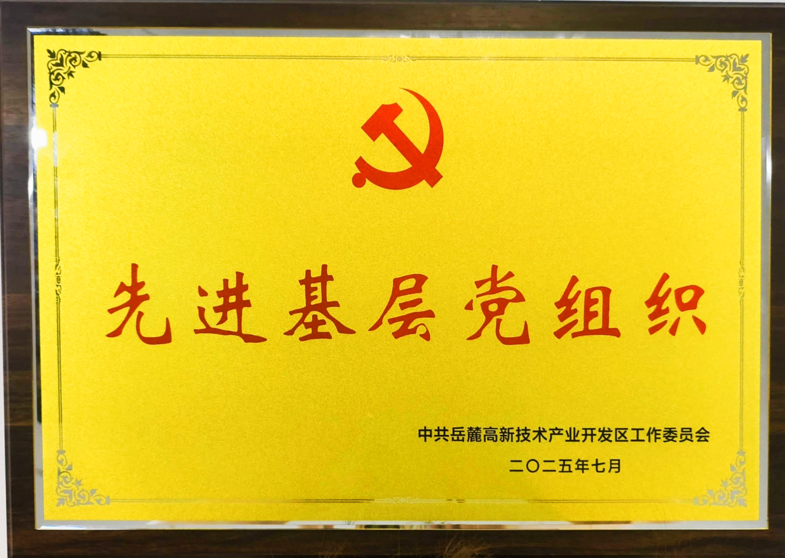 2025��7�����ǹȼ��ŵ�ί����´����������ί���Ƚ��²㵳��֯���ƺ���